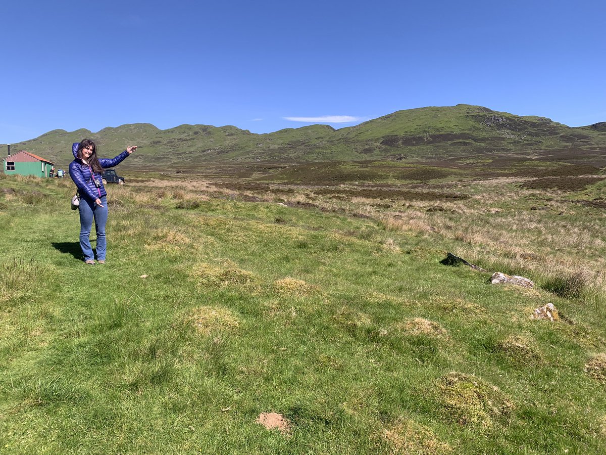 Dr Edward Stewart tweet media