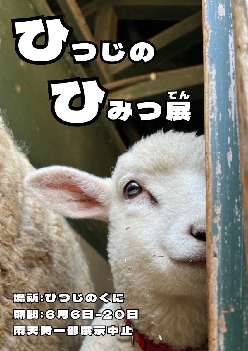 イベントのおしらせ🐑】 6月6日は、ひつじの日です🐑 そこで、6月6日