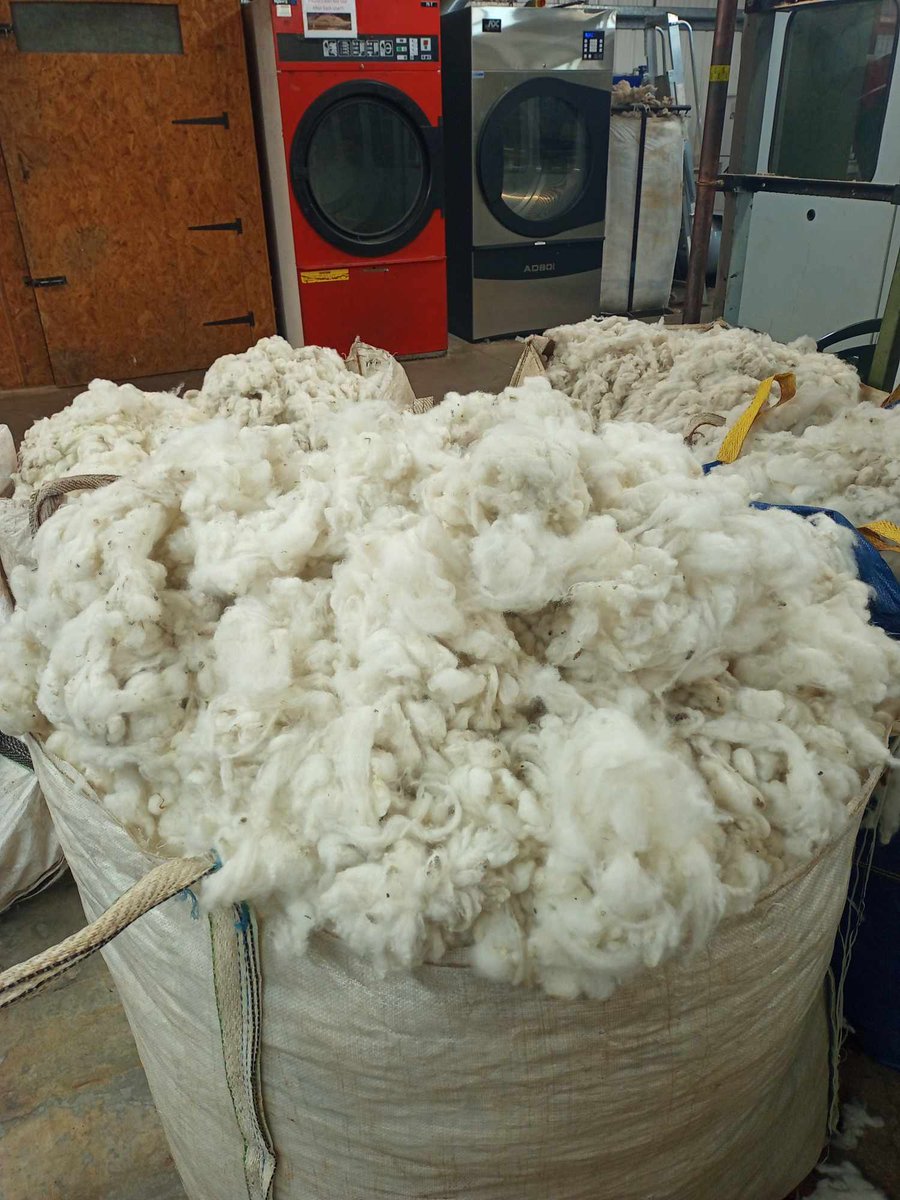 Scouring is the traditional name for cleaning wools, involving separating the dirt, sweat and grease (also called lanolin) from fine fibres. Scouring and drying is the first stage of wool processing and we also offer a Scouring Only service: thenaturalfibre.co.uk