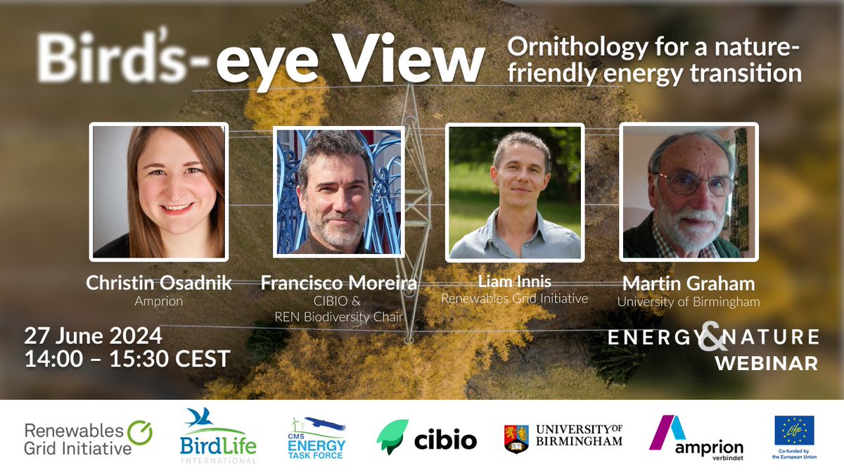 RenewablesGrid's tweet photo. 👁️ How do bird's see the world? 🦅 How does this influence their interactions with infra like powerlines? 🏗️ How can ornithology inform risk mitigation strategies? ⚡️

📢 Join us on 27. June to discuss with experts! 

Read more &amp; register 👉 https://t.co/ZfflqncTb2 https://t.co/JKw5zFX7MW