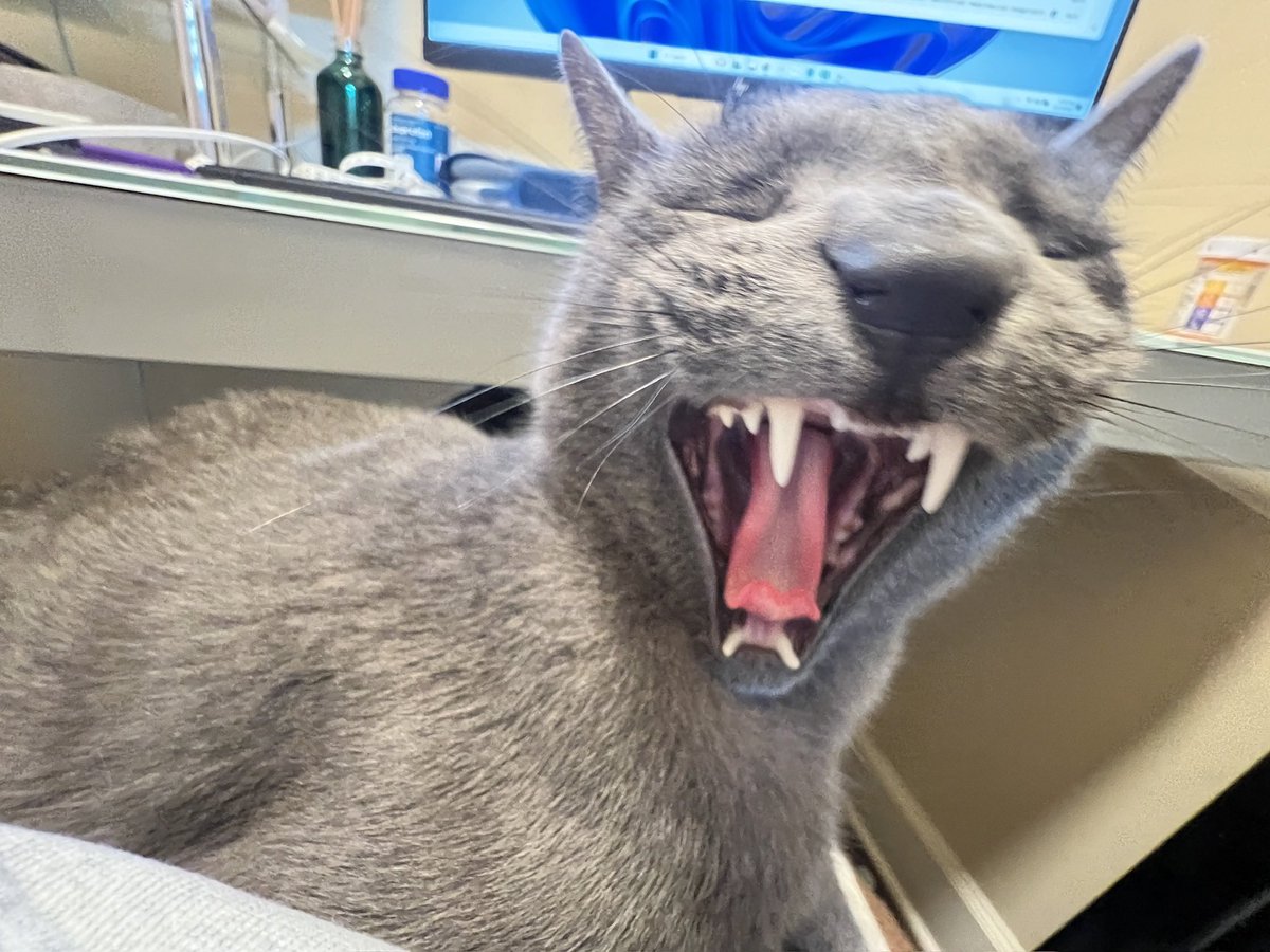 screaming for mommy to COME HOME