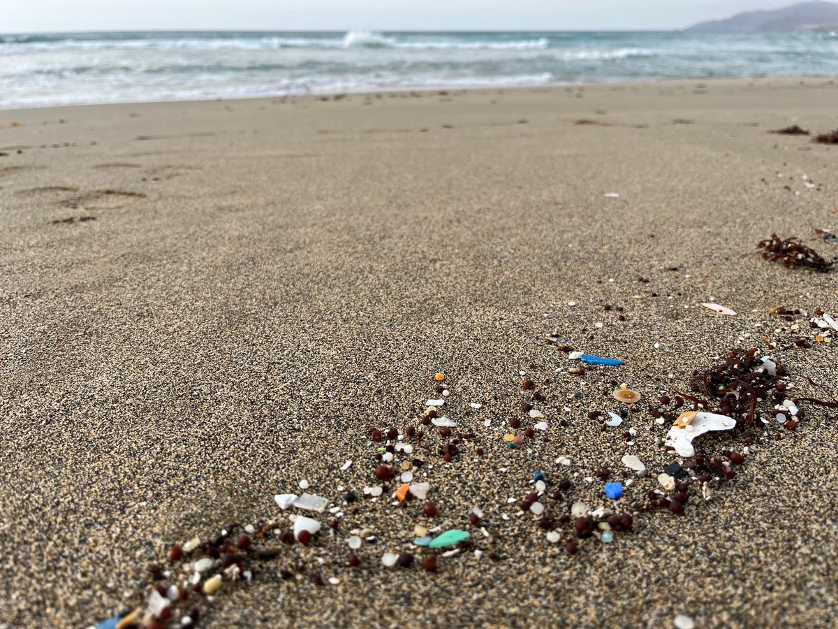 Sarah Gall (@sarahcgall) on Twitter photo How do we clean up plastic pellet pollution in the marine environment?
<a href="/CDT_SuMMeR/">CDT SuMMeR</a> PhD <a href="/PlymUni/">University of Plymouth</a> with <a href="/WinnieCJ/">Dr. Winnie Courtene-Jones</a> <a href="/ProfRThompson/">Prof. Richard C Thompson OBE FRS</a> <a href="/lrodwell1/">Lynda Rodwell</a> & a fab grp of stakeholders
Ecology, socio-economics & direct policy relevance #PlasticsTreaty
link: shorturl.at/FKhrQ
#FindaPhD How do we clean up plastic pellet pollution in the marine environment?
<a href="/CDT_SuMMeR/">CDT SuMMeR</a> PhD <a href="/PlymUni/">University of Plymouth</a> with <a href="/WinnieCJ/">Dr. Winnie Courtene-Jones</a> <a href="/ProfRThompson/">Prof. Richard C Thompson OBE FRS</a> <a href="/lrodwell1/">Lynda Rodwell</a> & a fab grp of stakeholders
Ecology, socio-economics & direct policy relevance #PlasticsTreaty
link: shorturl.at/FKhrQ
#FindaPhD