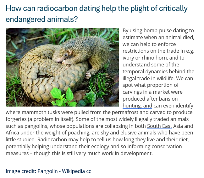school_of_arch's tweet photo. We asked Dr Rachel Wood, Director of our RadionCarbon Lab (@OxRadiocarbon) to explain how #radiocarbon dating can help the plight of critically #endagered animals like the #pangolins and #elephants #archaeologicalscience #wildlife #fakes #forgeries #crime #conservation https://t.co/7kMmhpHNEa