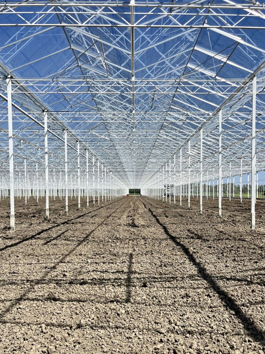 huismanscherm's tweet photo. Hightech nieuwbouwproject! 🦾 Samada Flowers van de familie Satter breidt hun Chrysantenteelt uit met maar liefst 5 hectare nieuwbouw 🤩 Om deze fonkelnieuwe kas zo duurzaam mogelijk te maken mogen wij hem voorzien van de nieuwste technieken waaronder Dynamic trekdraad en (1/3) https://t.co/d4goS50tiq