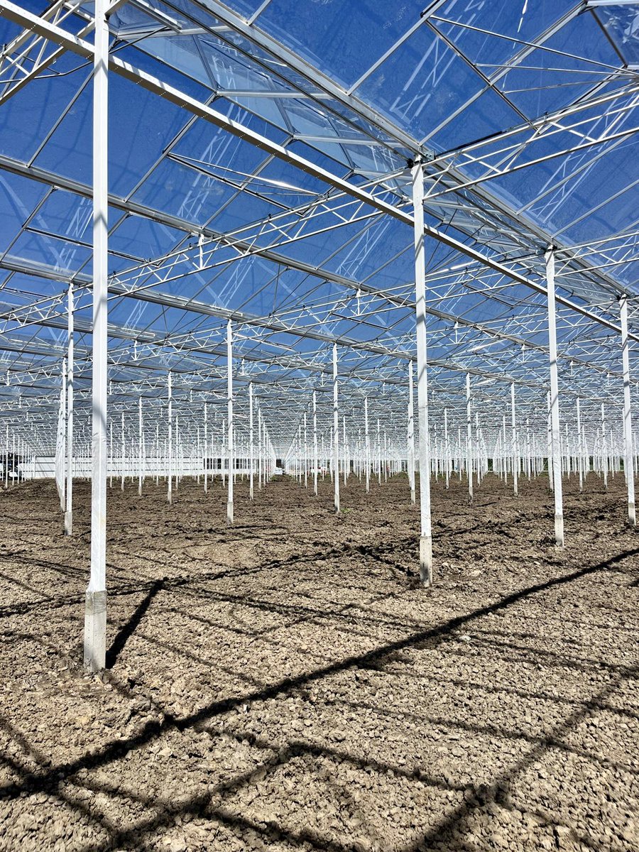 huismanscherm's tweet photo. Hightech nieuwbouwproject! 🦾 Samada Flowers van de familie Satter breidt hun Chrysantenteelt uit met maar liefst 5 hectare nieuwbouw 🤩 Om deze fonkelnieuwe kas zo duurzaam mogelijk te maken mogen wij hem voorzien van de nieuwste technieken waaronder Dynamic trekdraad en (1/3) https://t.co/d4goS50tiq