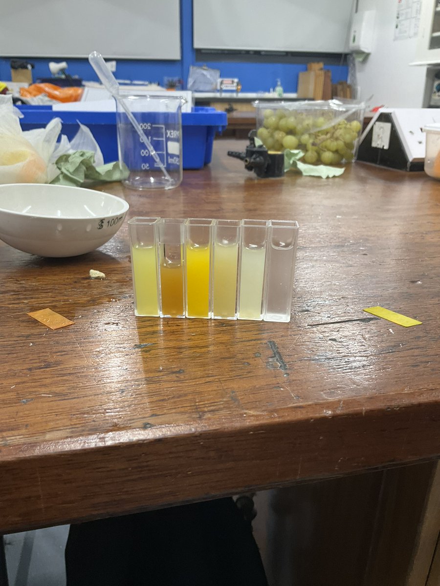 #PangCollScienceClub Silver <a href="/CRESTAwards/">CREST Awards</a> have been so much fun! Showcasing Albert and Elias who have been investigating "How sugar content affects the deacying process of different fruits". #PangCollYear9 #PangCollScience