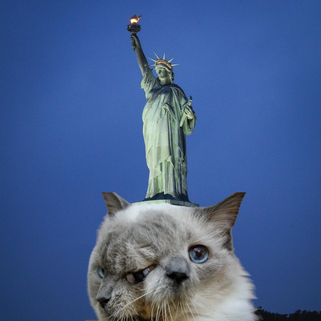 januscoinsol's tweet photo. $JANUS Cat at The Statue of Liberty https://t.co/cAW5Ofzegj