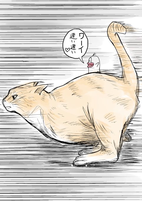 今日の全力疾走💨‼️ 