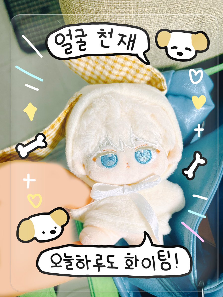 캐슈넛 tweet media