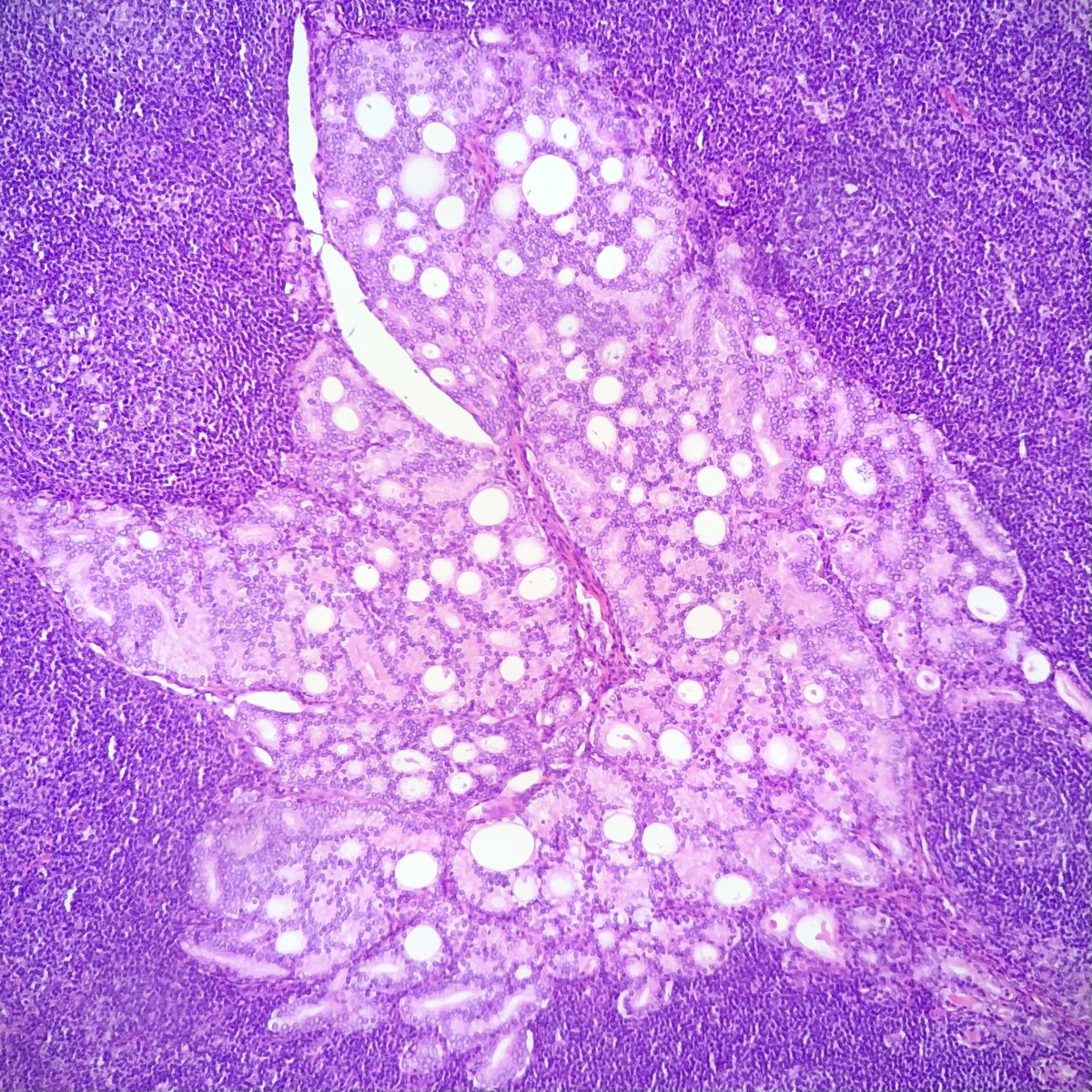 Anna Vasileva tweet media