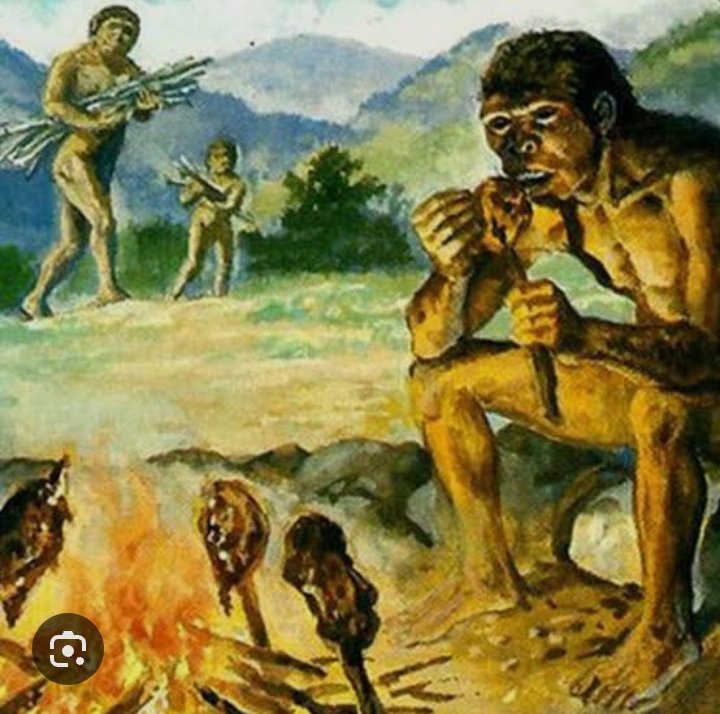 lampung dari jam setengah 11 siang mati lampu + gaada sinyal bilek: