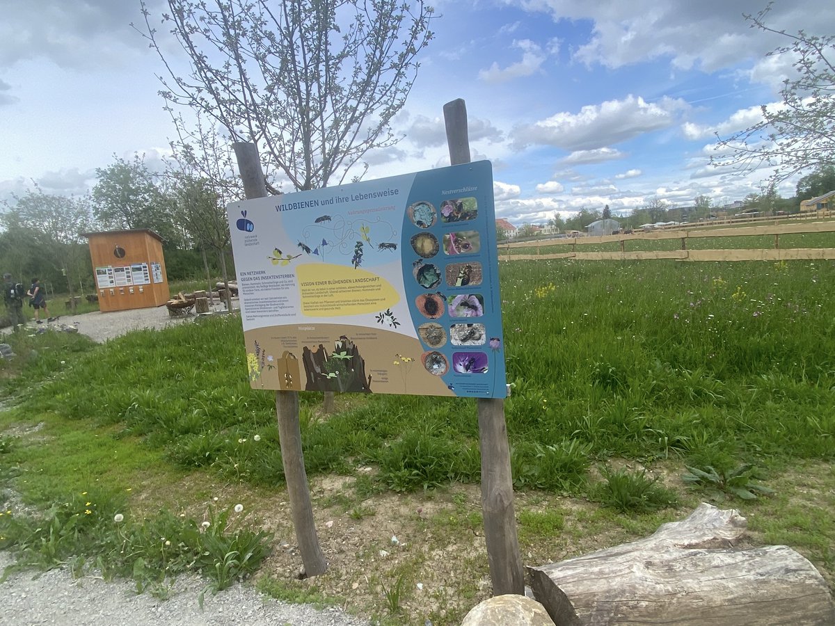 Besucht uns bei der Landesgartenschau in Wangen!

🌼Im Rahmen unseres Projekts <a href="/LIFE_IFR/">LIFE IFR – Insektenfördernde Regionen</a>  sind wir bei der #Landesgartenschau in Wangen im #Allgäu mit Workshops zur #Pflanzen|- und #Insekten|bestimmung vertreten. 

🐝 Alle Termine: lgswangen2024.de/veranstaltunge…
 
Wir freuen uns! 💚