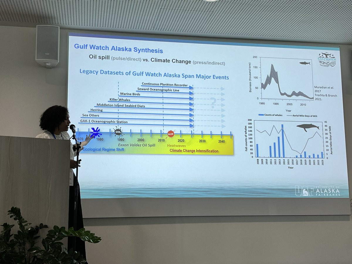 sheilaheymans's tweet photo. @BONUSBluewebs Beatriz Dias talks about marine heatwaves in Prince William Sound, Alaska - https://t.co/554I3s3nRC