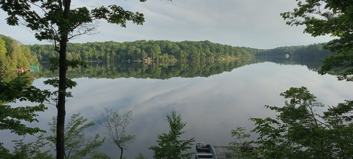 Cathy Goodfellow tweet media