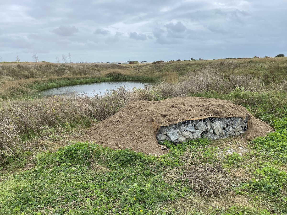 Hyland Edgar Driver tweet media