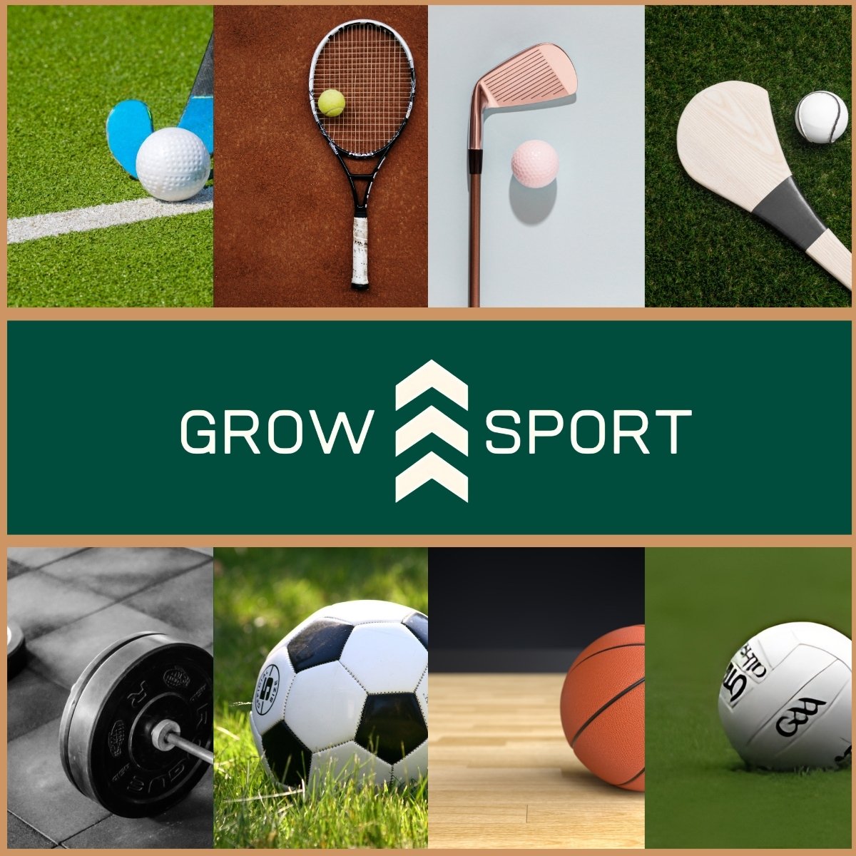 GrowSportIreland tweet media