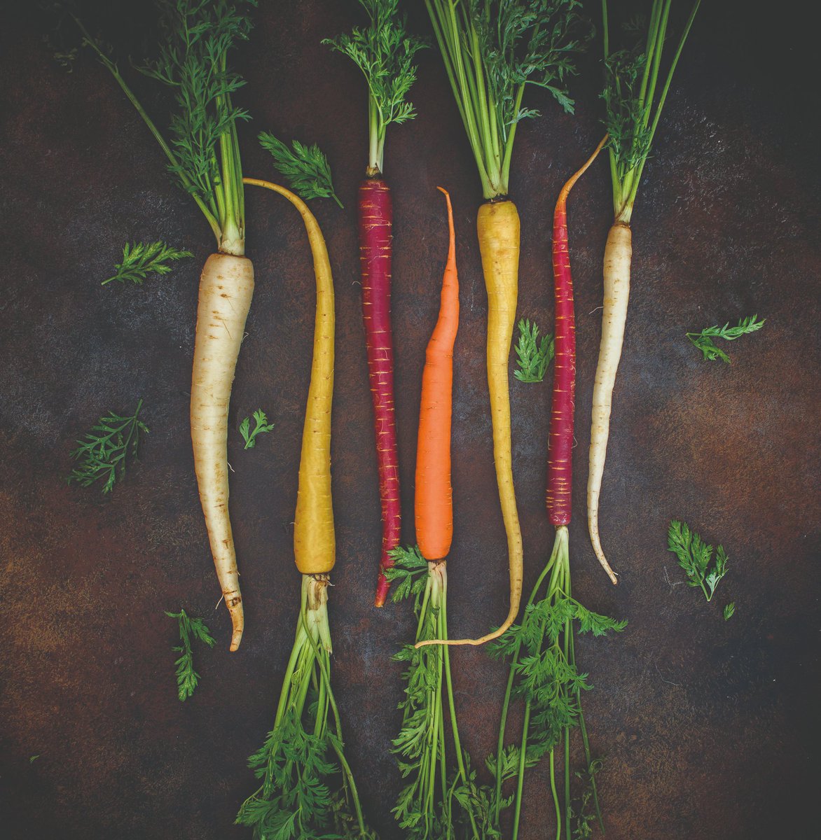 Arthritis Digest tweet media