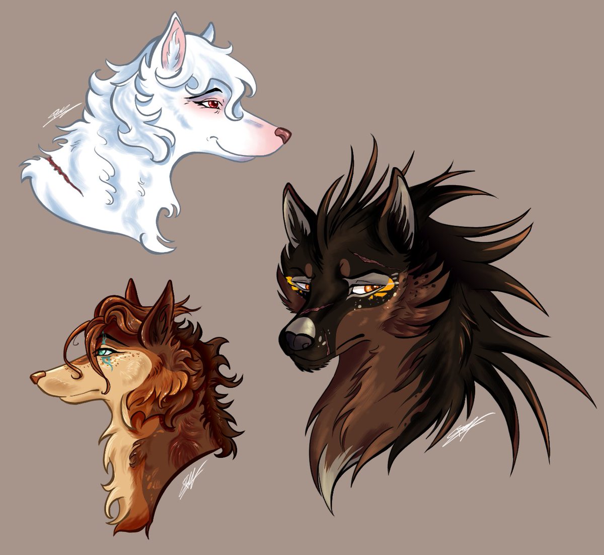 Quelques portraits de loups OC pour des amies histoire de me dérouiller, featuring Fei ma petite vieille albinos d'amour (personnage de Kayfedewa)

Lointaine époque de forum rpg qu'on oubliera jamais, merci pour ça 🫶