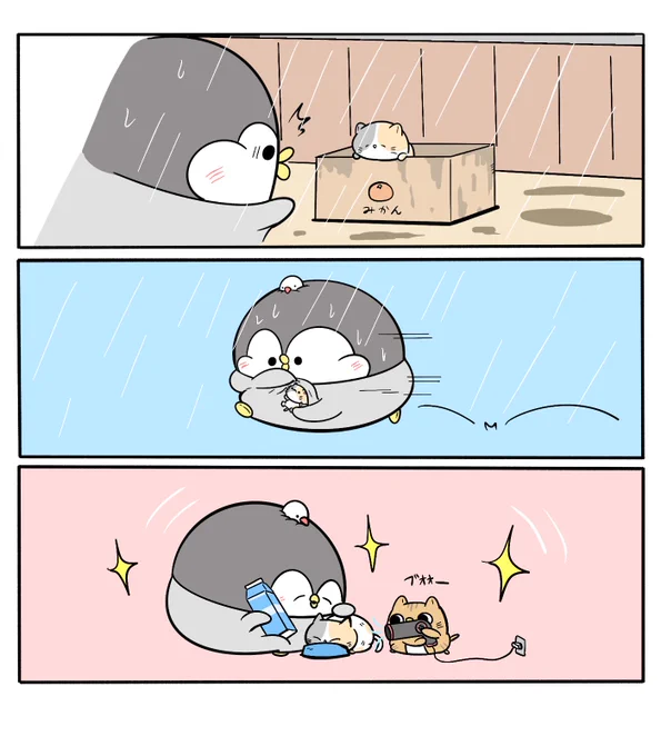 猫を拾ってきた日 