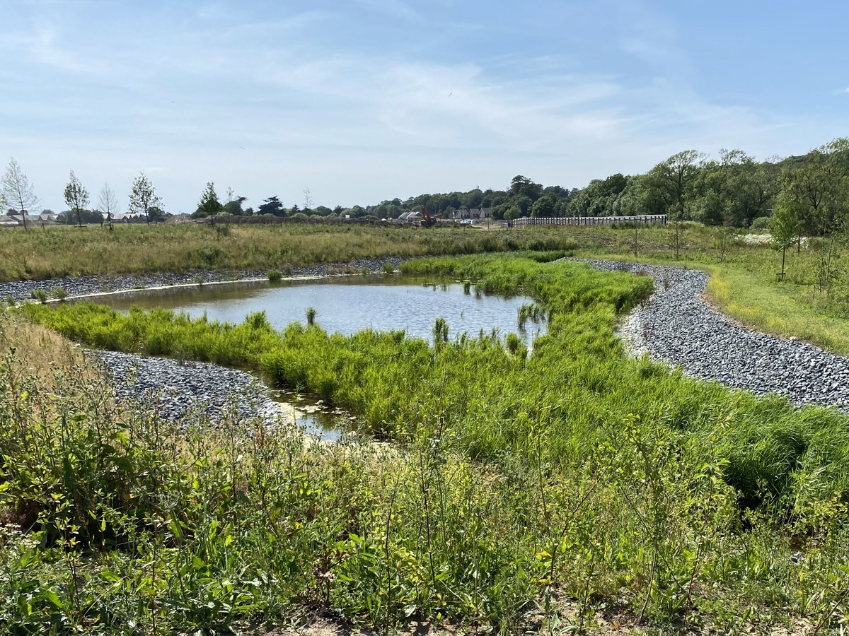 Hyland Edgar Driver tweet media