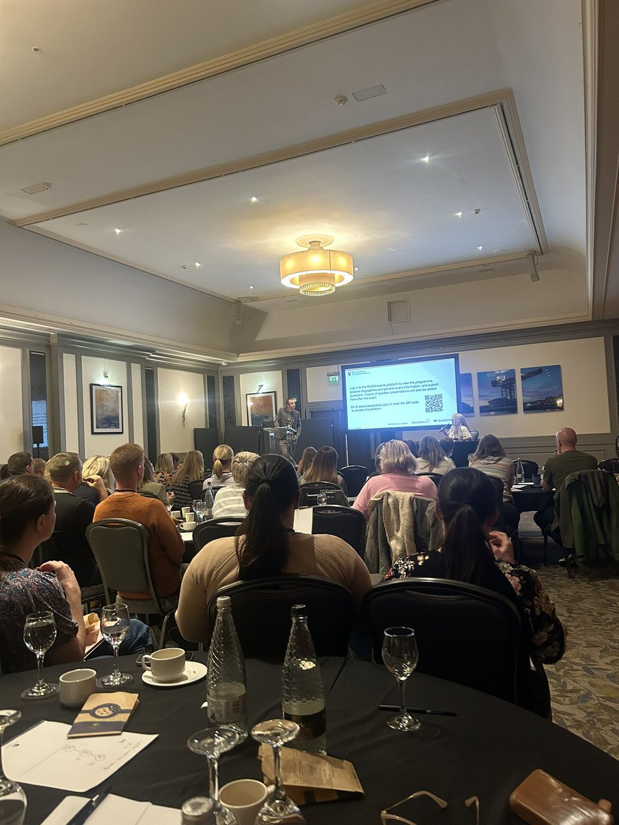 Ellie Mll tweet media