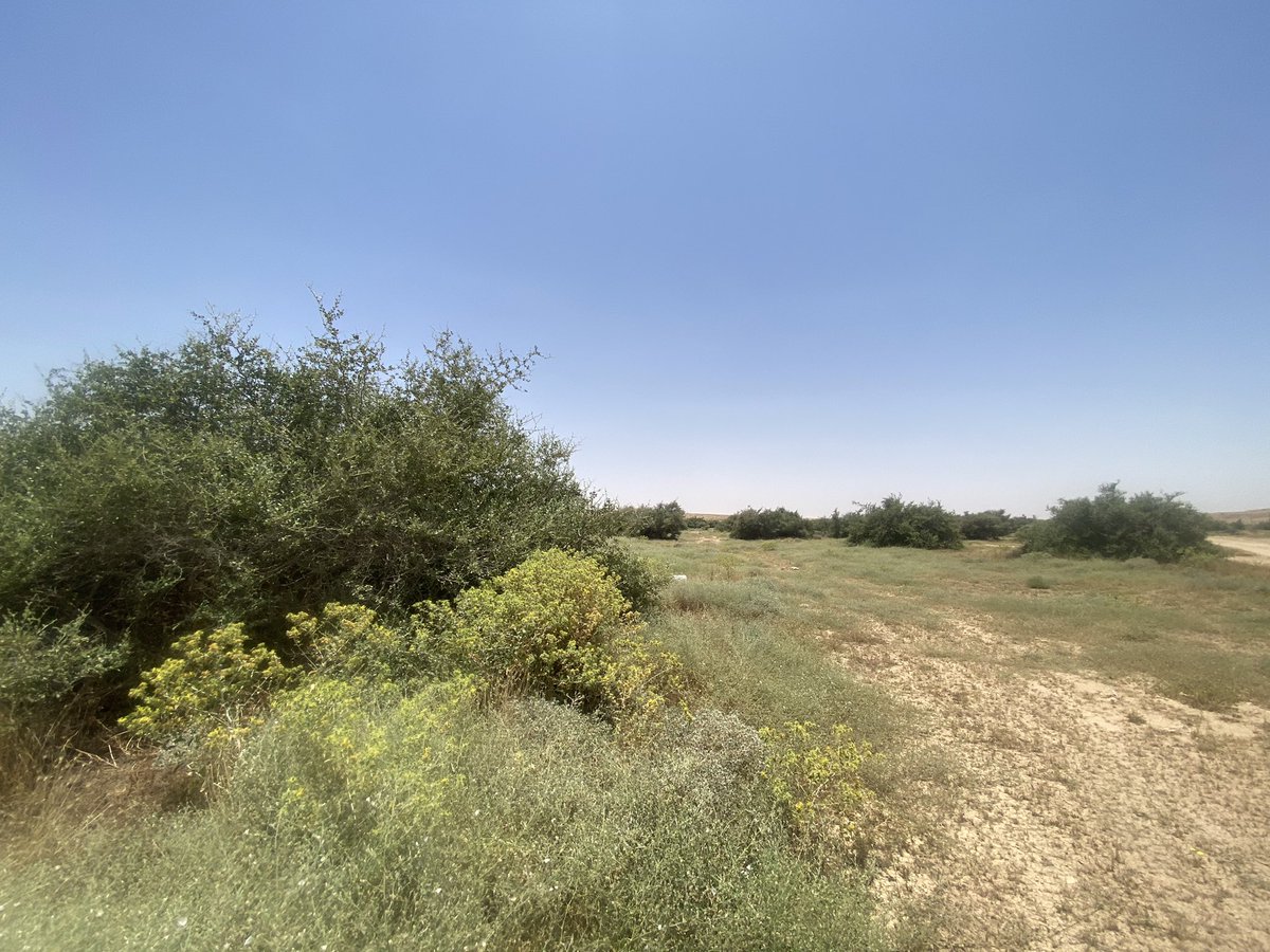smmanv's tweet photo. رغم دخول فصل الصيف والحراره المرتفعه هذه فياض حفر الباطن والصمان تسر الناظرين والسبب بعد الله سبحانه الحمايه فقط https://t.co/A1XRx595dl