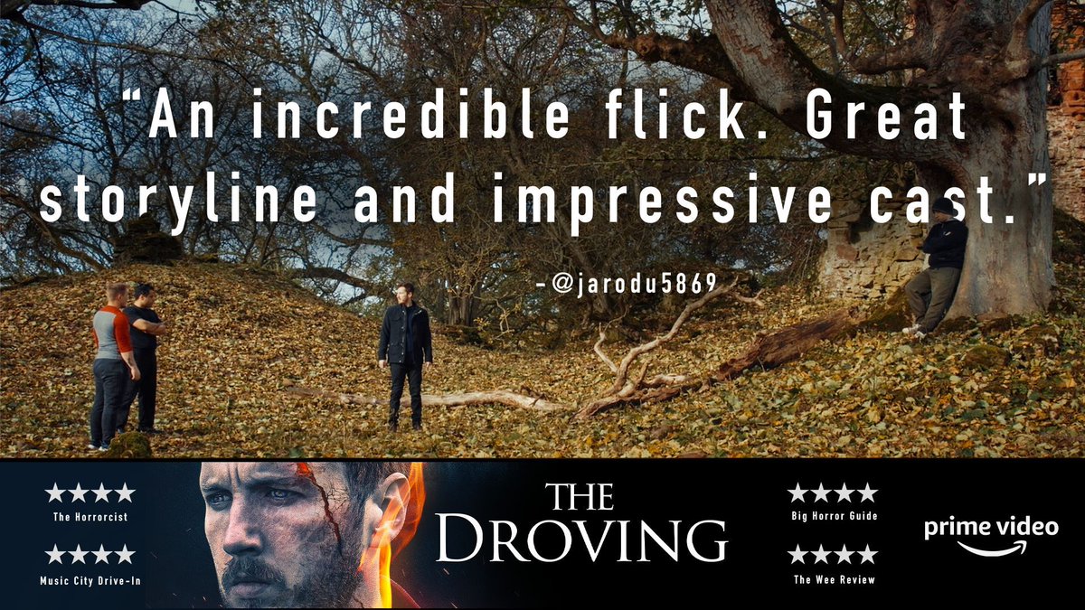 🍿💬  A great piece of feedback from the everyday #filmlover! 🍻 We're so pleaded to have provided a satisfactory movie watching experience with #TheDroving #Thriller #UK #Movies.