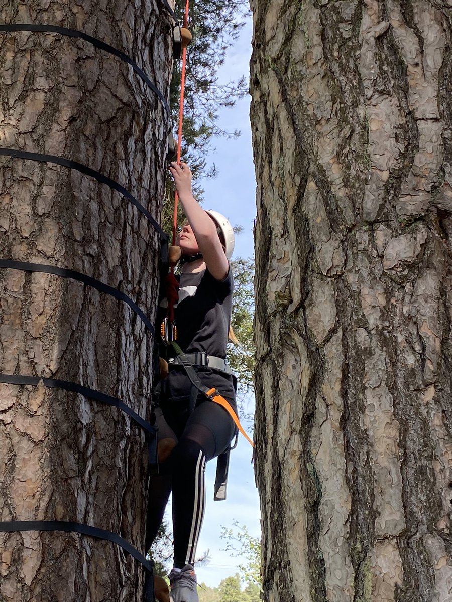 SASB_RMCE's tweet photo. Day One at Gen Hope - Tree Climbing! Well done to Abigail, Anya, Cameron, Skye & Mrs Fagan for making it to the top (twice!)! 🌳 🧡 #GenHope
@sasbhighschool https://t.co/hSaWCHB2Cw