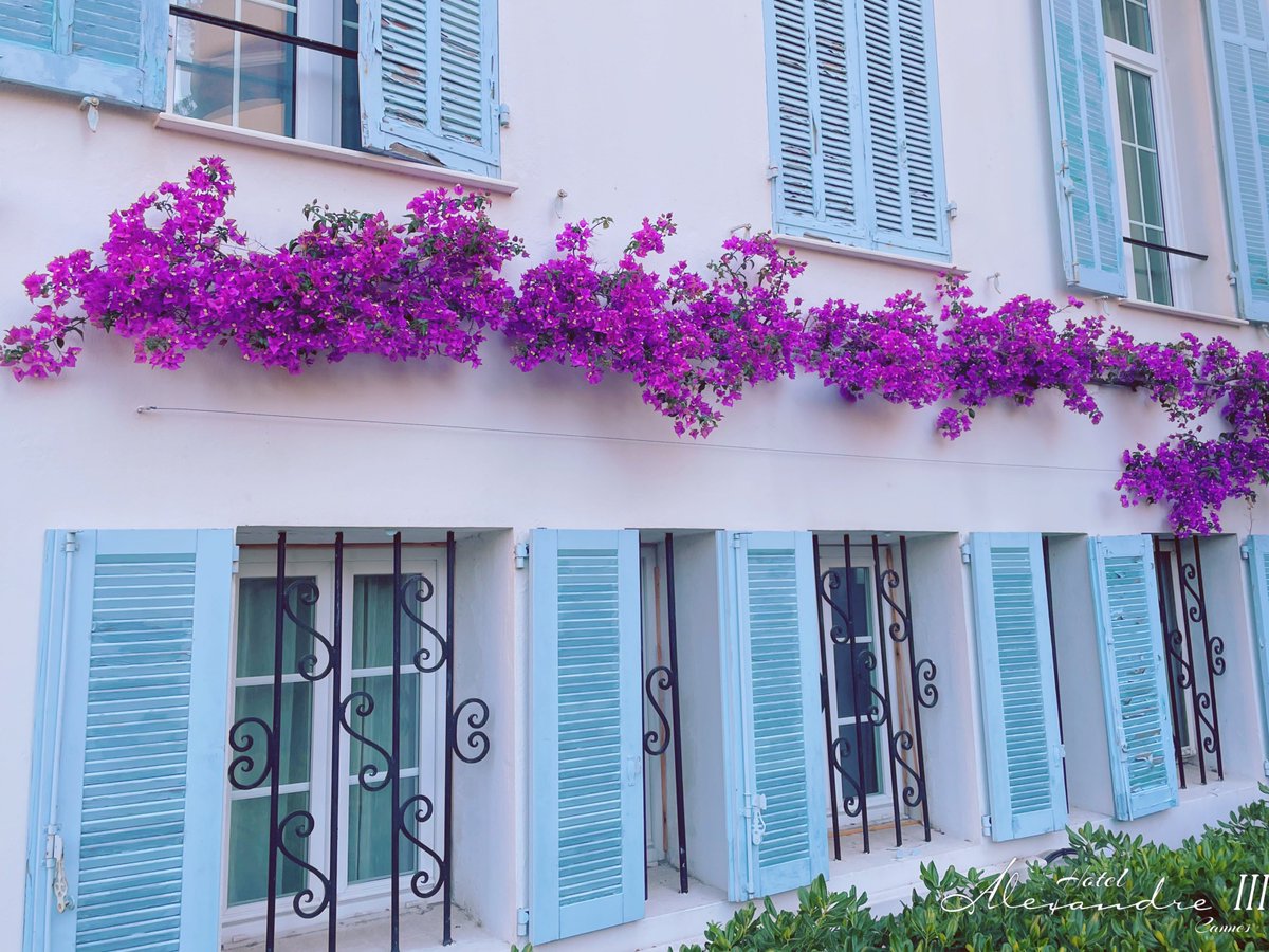 HotelAlexandre3's tweet photo. Couleurs.
#couleurs #couleursdusud #cotedazurfrance #cannes #cannes2024 #cannesnow #bienvenueacannes #rendezvousacannes #alexandreiii #hotelcannes #canneslife https://t.co/9SsdnX791s