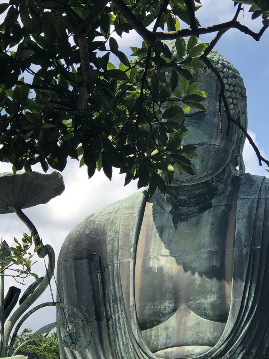 Man vs Baby tweet media