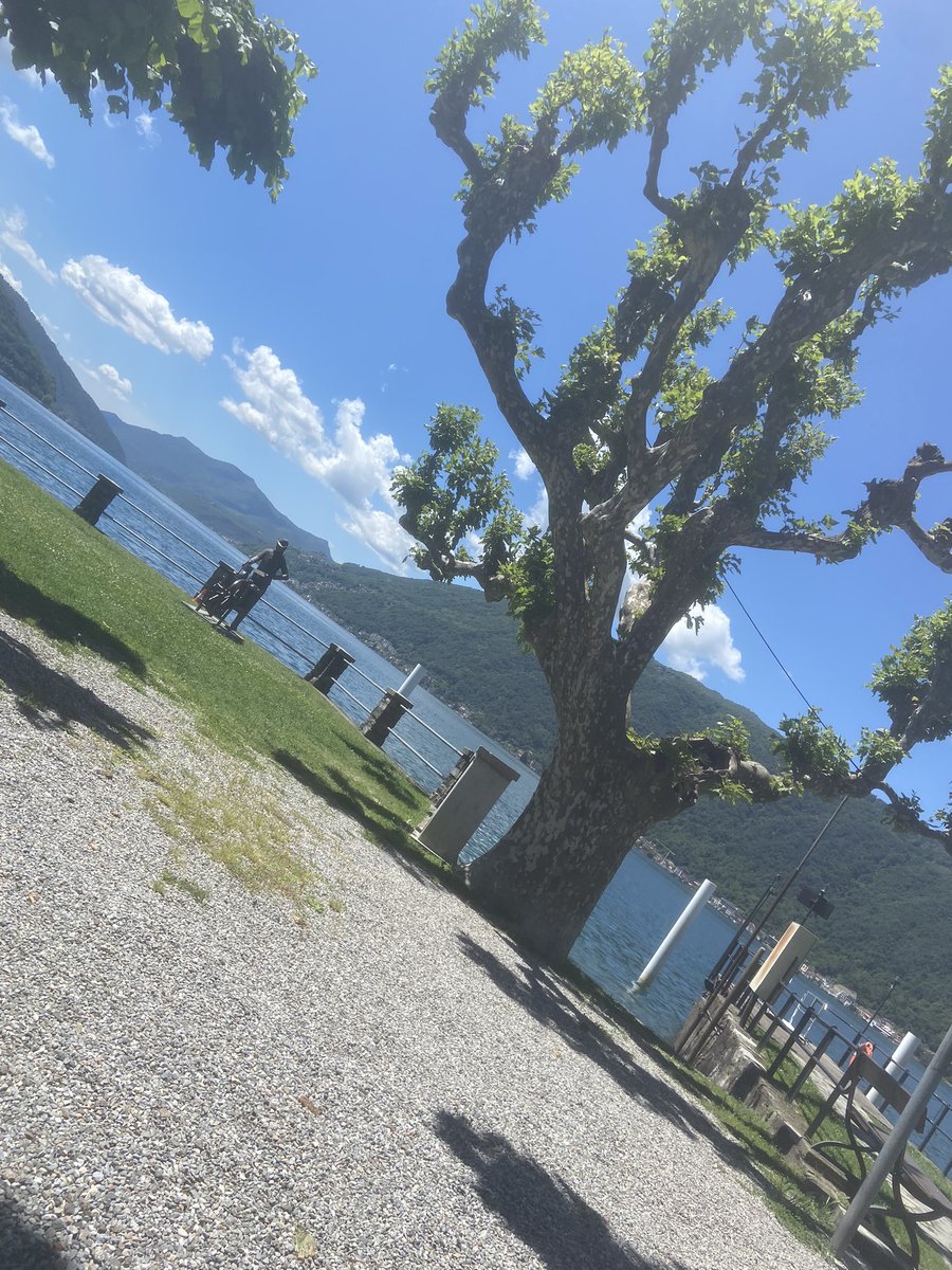 Caterina Antognazza, PhD (@cmantognazza) on Twitter photo Crazy weather didn’t make it easy! But we did it. At <a href="/Uni_Insubria/">Uninsubria</a> very thrilled of being part of the global #eDNA project #LeDNA. Nice trip around lakes #lugano #comabbio #varese
Thanks <a href="/alpineedna/">Dr Kristy Deiner</a> and colleagues. looking forward the outcomes
#ForNature #Biodiversity Crazy weather didn’t make it easy! But we did it. At <a href="/Uni_Insubria/">Uninsubria</a> very thrilled of being part of the global #eDNA project #LeDNA. Nice trip around lakes #lugano #comabbio #varese
Thanks <a href="/alpineedna/">Dr Kristy Deiner</a> and colleagues. looking forward the outcomes
#ForNature #Biodiversity