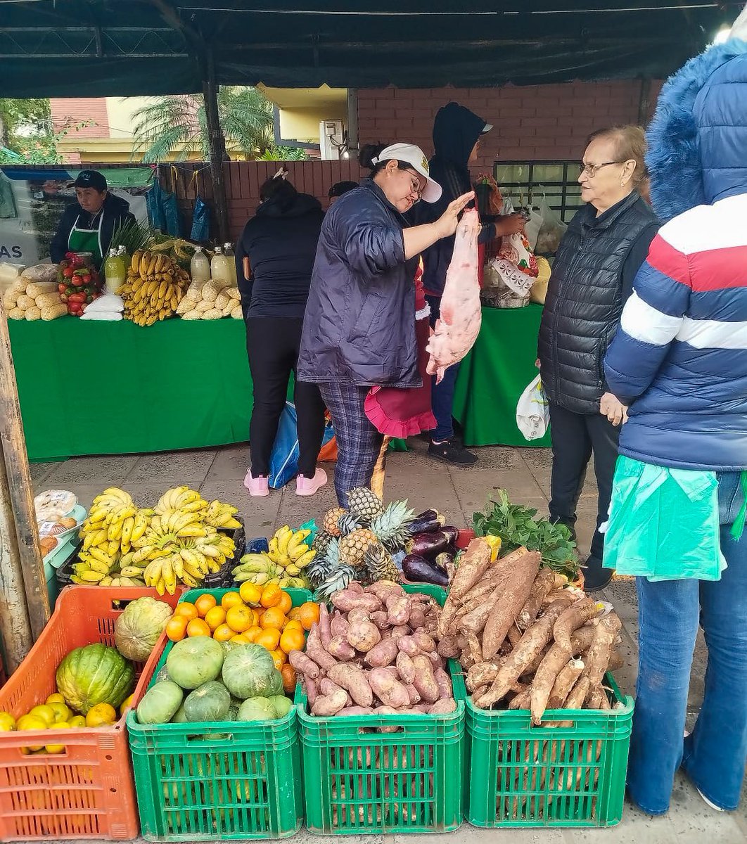magparaguay's tweet photo. Feria de la Agricultura Familiar del MAG.
Productos frescos de la finca a la mesa del consumidor. Precios bajos y buena calidad.
En la Dirección de Comercialización del @magparaguay.
#GobiernoDelParaguay 🇵🇾 https://t.co/MuKfg6sIFZ