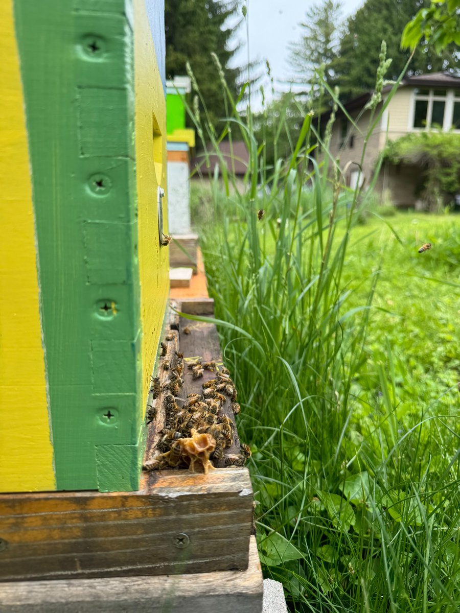 WMLW (@wmlwthem) on Twitter photo Protecting our pollinators! πππ
This week on CBS 58 Sunday Morning, <a href="/pavlinaosta/">PAVLINA OSTA</a> learns about bee behavior and how to protect them.
We'll "bee" seeing you Sunday morning at 10 a.m. on WMLW the M.π Protecting our pollinators! πππ
This week on CBS 58 Sunday Morning, <a href="/pavlinaosta/">PAVLINA OSTA</a> learns about bee behavior and how to protect them.
We'll "bee" seeing you Sunday morning at 10 a.m. on WMLW the M.π