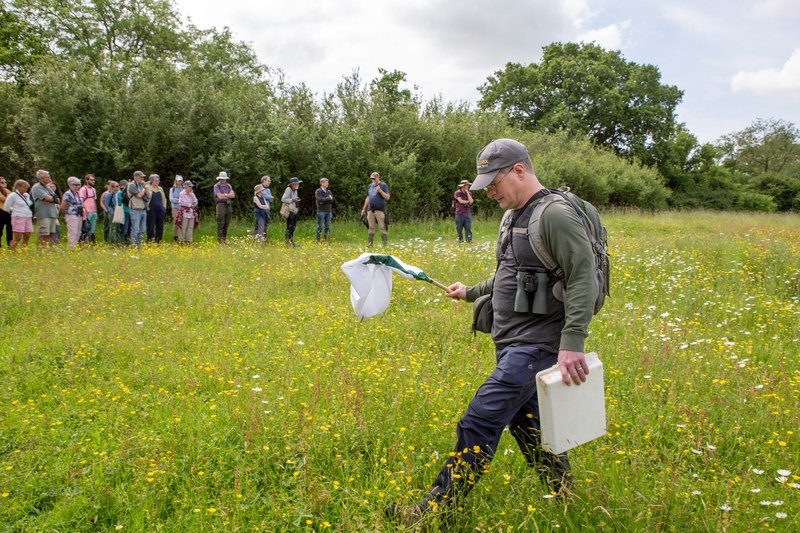 We've been holding a number of special events for #VolunteersWeek to thank our awesome volunteers. Find out about the Woods Mill Wander on Monday 📷 Roz Bassford sussexwildlifetrust.org.uk/news/a-woods-m…