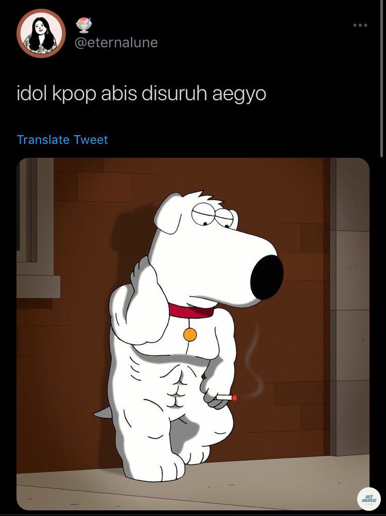 Starfess || CEK PINNED UNTUK KIRIM MENFESS tweet media
