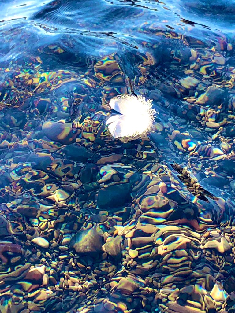 zeLaure_'s tweet photo. V elours #Arc en #Ciel
E cho aux #Sept #Vertus
R adiance #Divine de #Perfection
I nstant #Méditation
T out en #Silence
E n La #PrésenceIAM
C rayon d’#Atomes
E cho d’#Électrons
L’#Instant
E n #Lumière
S ur La #NoteClé #Vie
T résor de #Flambeaux
E-lé-mental
#Univers https://t.co/5uu52y0wJI