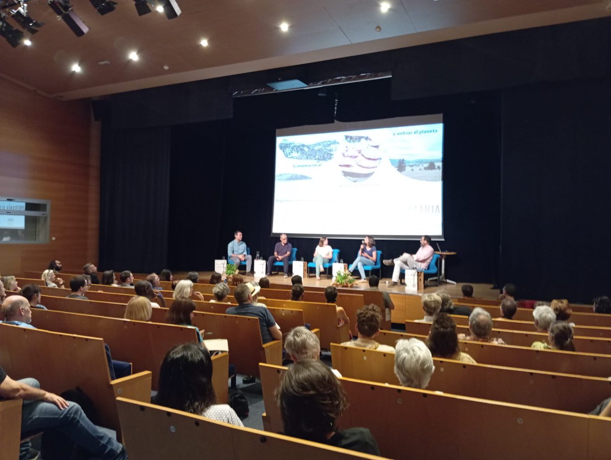 REAS Aragon tweet media