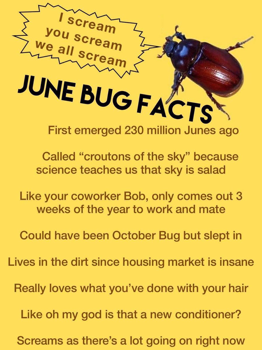 entomemeology's tweet photo. June Bug Facts
#junebugs #Melolonthinae #entomemeology #entomology https://t.co/wD9HGW6GPp