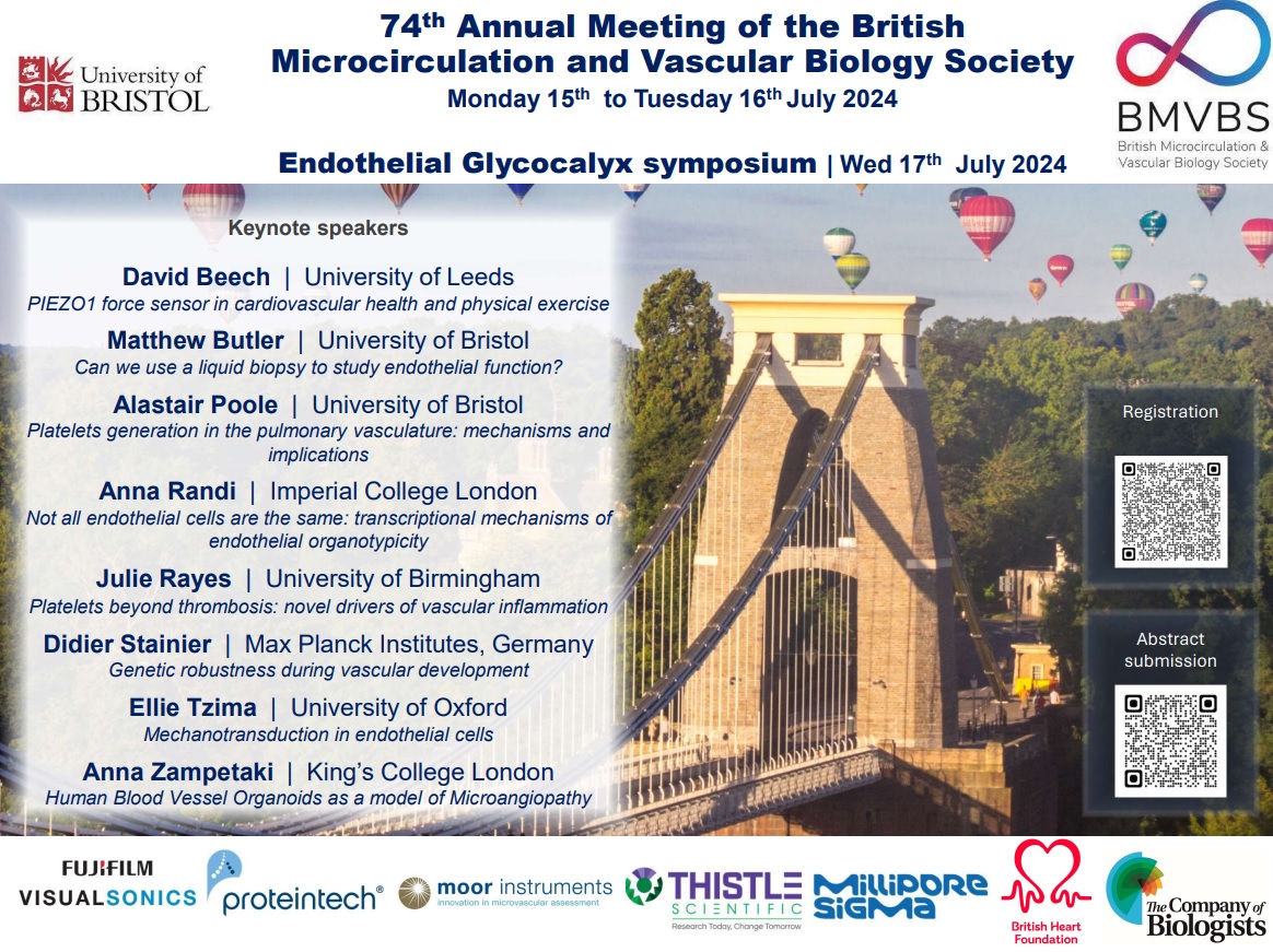 BristolRenal's tweet photo. Secure your spot now! Early Bird offer for #BMVBS24 meeting ends on 7th June. Register for #BMVBS24 and the separate Endothelial Glycocalyx symposium at https://t.co/Z1oRlXn2NW
Thanks to all our sponsors including our most recent supporters @Co_Biologists @BritishHeartF https://t.co/3HDhiZNcTI