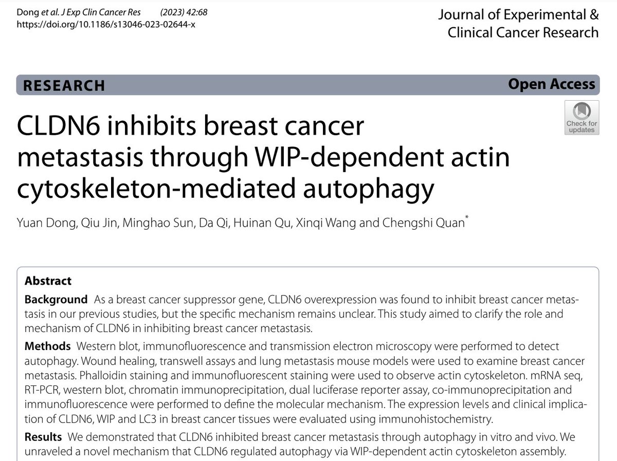 PhD in Biomedical Sciences - UNIPD (@phd_dsb_unipd) on Twitter photo Today's JC will be on #breastcancer, thanks to the paper chosen by @RahhaliKarim, opponents: <a href="/MoroNicola/">Nicola Moro</a> and <a href="/AnnamariaZanon/">Annamaria Zanon</a>
🚩room RG, Vallisneri building h13:30-14:30
#staycurious👀 Today's JC will be on #breastcancer, thanks to the paper chosen by @RahhaliKarim, opponents: <a href="/MoroNicola/">Nicola Moro</a> and <a href="/AnnamariaZanon/">Annamaria Zanon</a>
🚩room RG, Vallisneri building h13:30-14:30
#staycurious👀