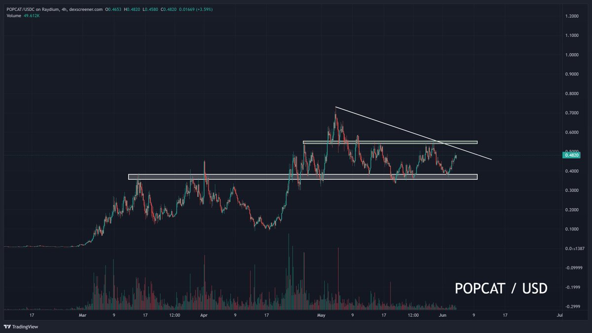 RookieXBT's tweet photo. last $POPCAT shill until a new ATH

big month ahead

break $0.55 = up only

$WIF went from $0.45 to ~$5 in ~35 days when it got going a few months ago

i'm not saying the poppin cat will do the same but I'm not not saying that either

if the #3 dog can do it, why not the #1 cat? https://t.co/dQt4zGAOxw