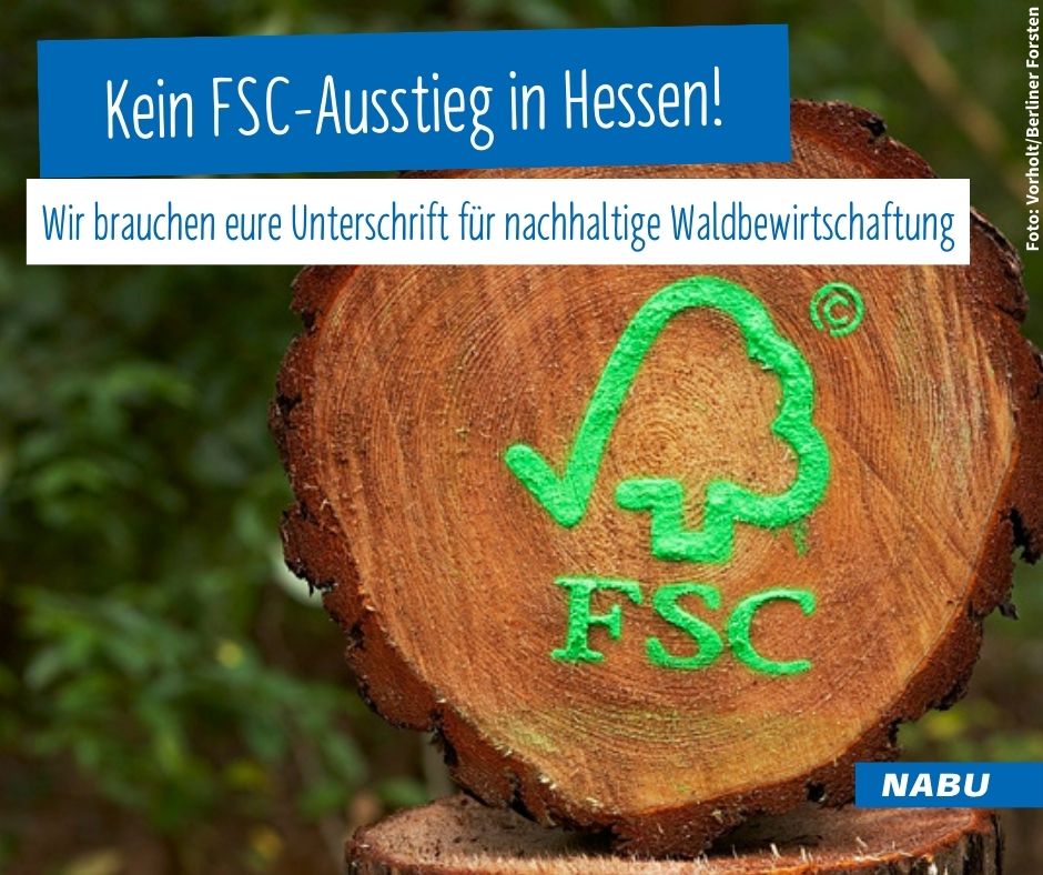 Für einen zukunftsfähigen #Wald im #Klimawandel brauchen wir das #FSC-Siegel! Fordert jetzt von der <a href="/UmweltHessen/">Ministerium für Landwirtschaft und Umwelt Hessen</a> eine nachhaltige #Waldbewirtschaftung ein.
Zur Petition: weact.campact.de/petitions/fsc-…
#waldschutz