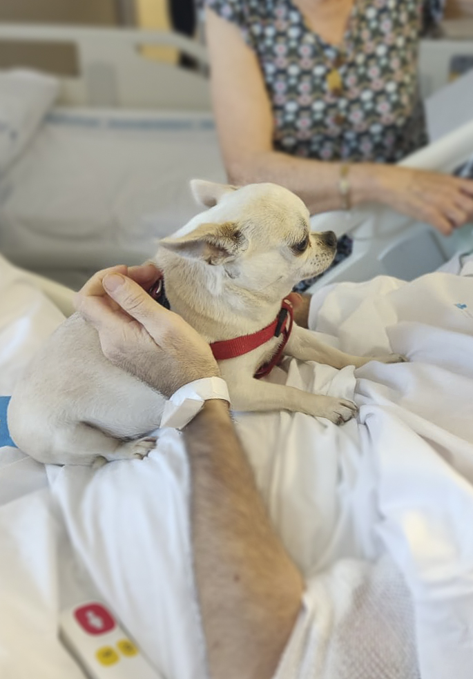 Humanitzar l'atenció és, sobretot, escoltar el pacient. L'Òscar ens va demanar 2 coses: acomiadar-se de la seva gosseta Lili i, una vegada fet, que li donéssim difusió a aquesta possibilitat per tal que d'altres persones en una situació de final de vida puguin fer el mateix.🙏🙏