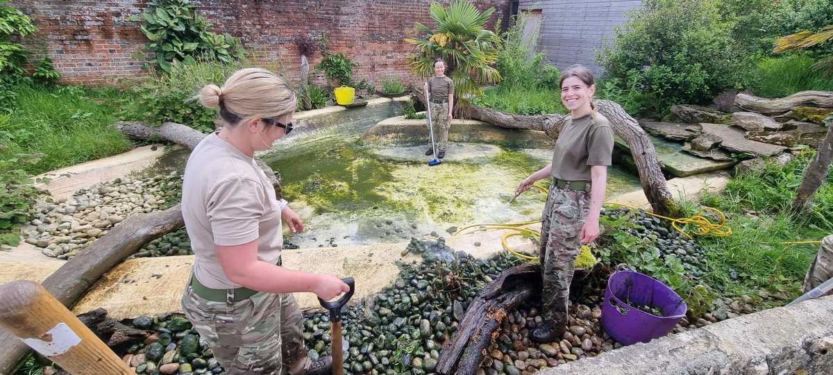 Royal Centre for Defence Medicine 🦉🐍 tweet media