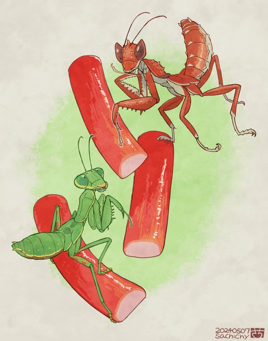 「bug」 illustration images(Latest)