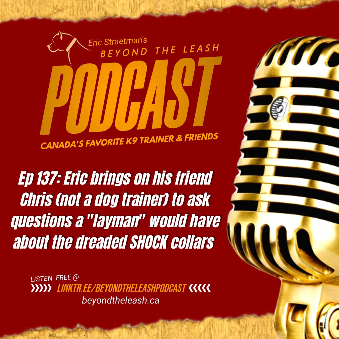 BeyondTheLeash's tweet photo. 🎧 Ep 137 Eric brings on his friend Chris (not a dog trainer) to ask questions a "layman" would have about the dreaded SHOCK collars
https://t.co/0GG68pft8i
⭐️SPONSOR⭐️
@BigCountryRaw
#dogs 🐕 #k9training #dogtraining #dogtrainer #k9 #EricStraetmans #BeyondTheLeash #Podcast https://t.co/jqkKIKziD7