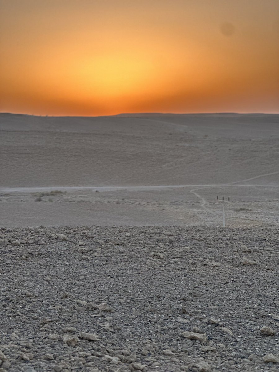 Harel Tayeb tweet media