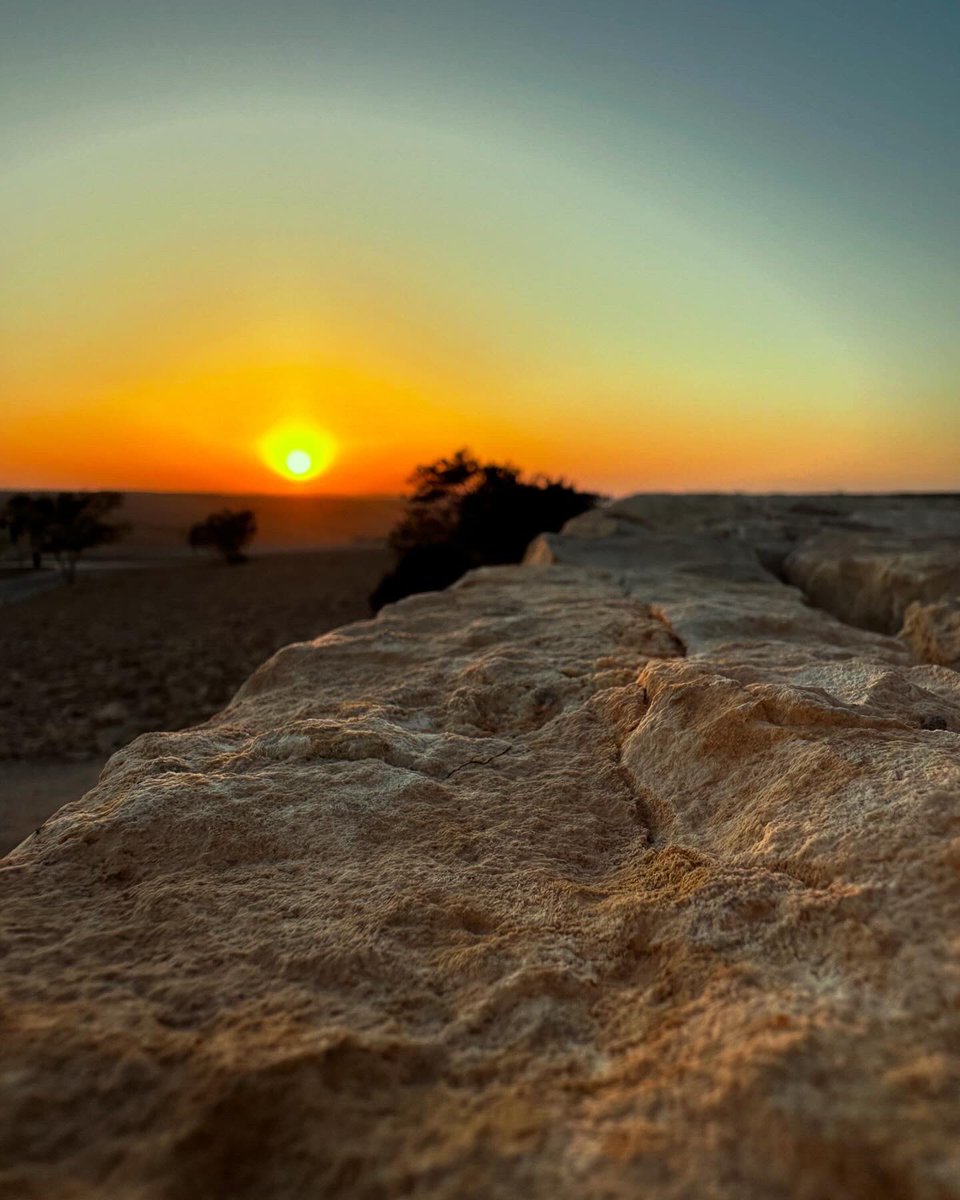 Harel Tayeb tweet media