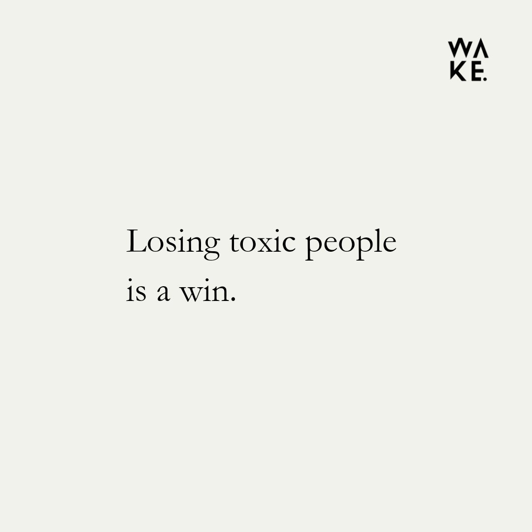 Wake Studio tweet media