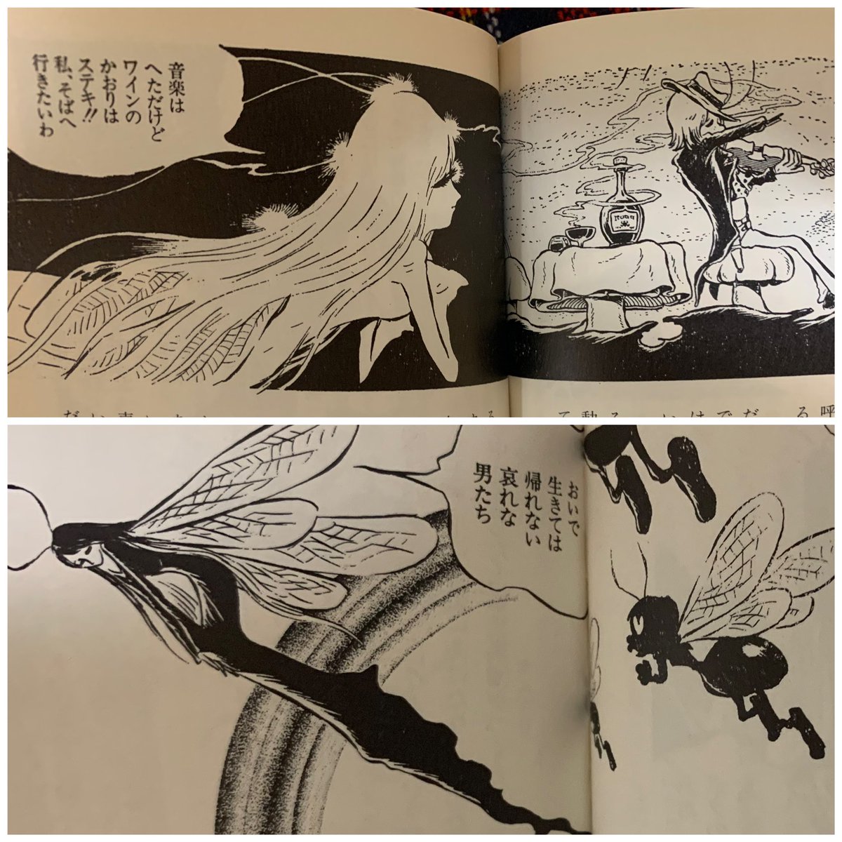 🦋昆虫おもしろブック🐞🪲 虫の生態が面白く書かれています で